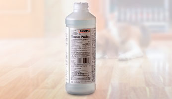 Моющий концентрат THOMAS ProTex